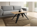 Homelumiere CT60 Coffee Table 60x120x48 Beige